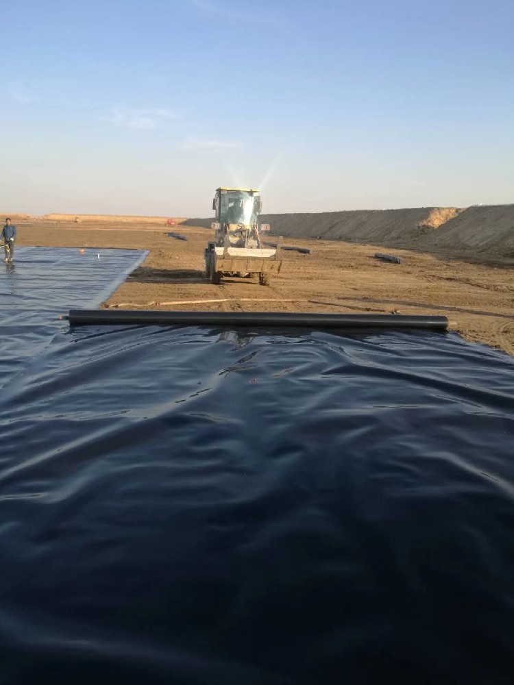 1681373661149828.jpg mmexport1553835119342.jpg