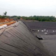 鱼塘防渗膜 鱼塘防渗膜