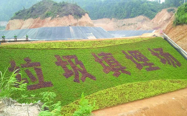 yl23411永利集团官网